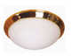 Ceiling Fixture
		  Model#21024-MRNU3016