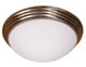 Ceiling Fixture
		  Model#21034-LED