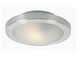 Ceiling Fixture
		  Model#21203-DRNU307