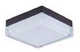 Ceiling Fixture
		  Model#21255-LED