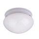 Ceiling Fixture
		  Model#21273-LED